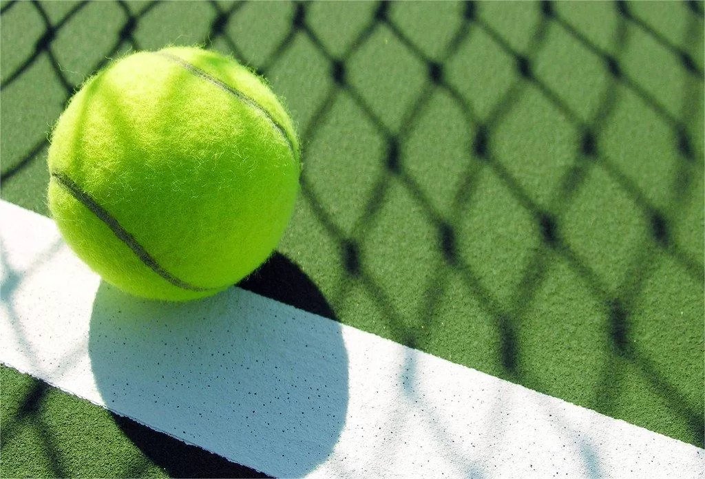 Polyurethane Training Tennis Improve your game Illustration 3