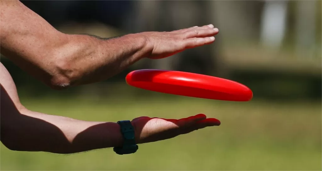 How to Choose the Right Flying Disc for You Illustration 1