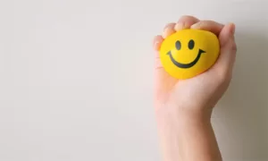 Guide to the Introduction of Stress Balls of Different Materials Featured Image