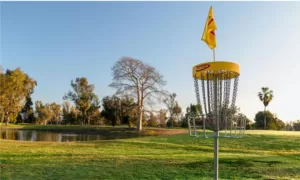 The Ultimate Disc Golf Battle Which Brand Reigns Supreme Featured Image